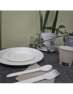 Set de fiesta completo con platos, vasos, cubiertos y servilletas ideal para celebraciones y eventos. 2